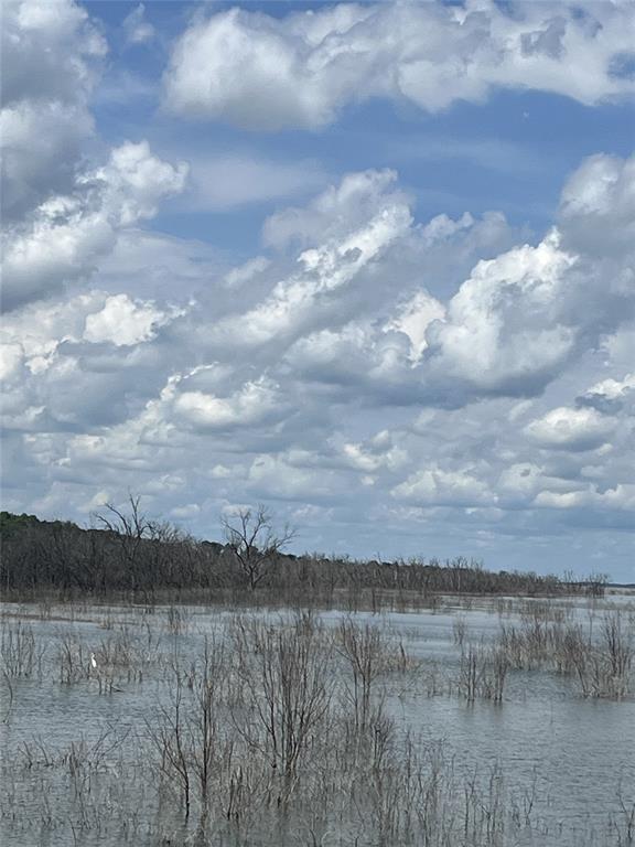 0 County Road Windom, TX 75492 - Photo 8 of 9 a view of lake with mountain