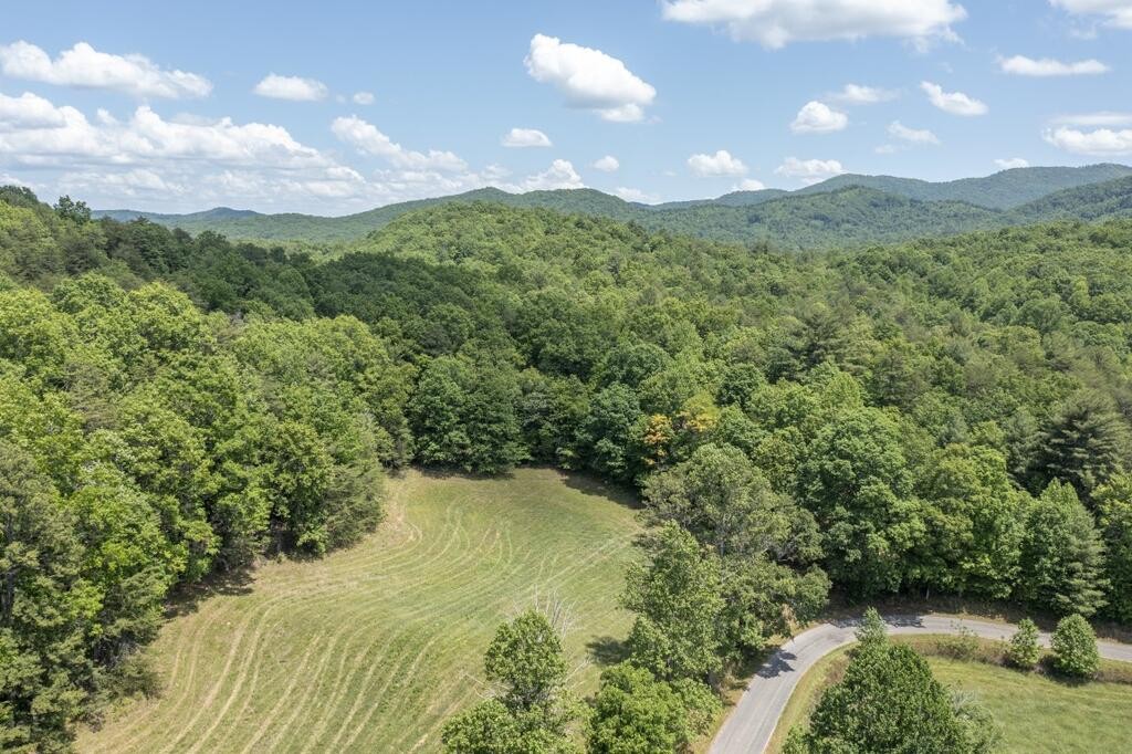 0 Donley Road Murphy, NC 28906 - Photo 1 of 37 Gallery Image 1