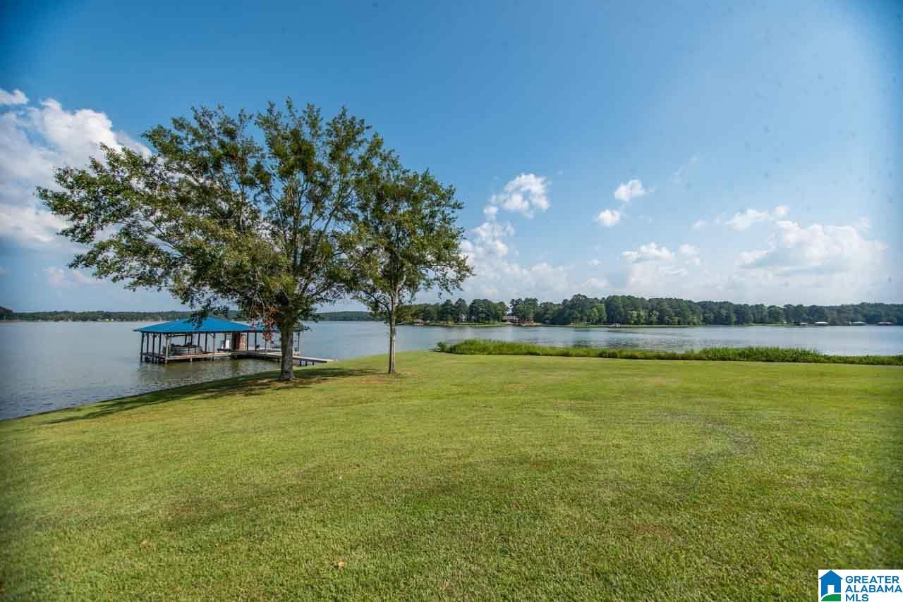 11 Seddon Point Pell City, AL 35128 - Photo 45 of 50