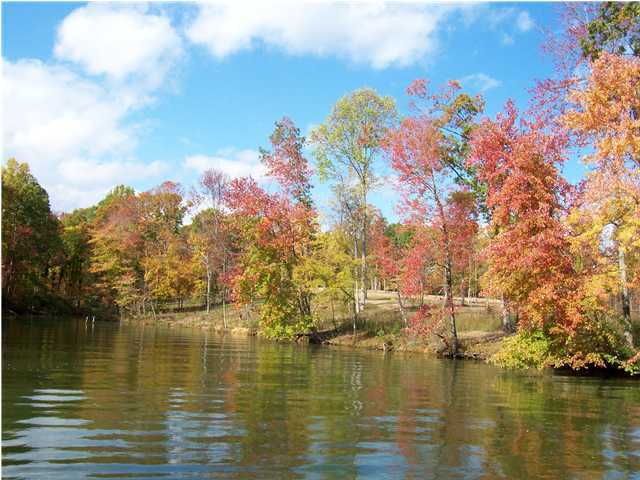 12 Piney Point Road Spring City, TN 37381 - Photo 1 of 4 Primary Photo