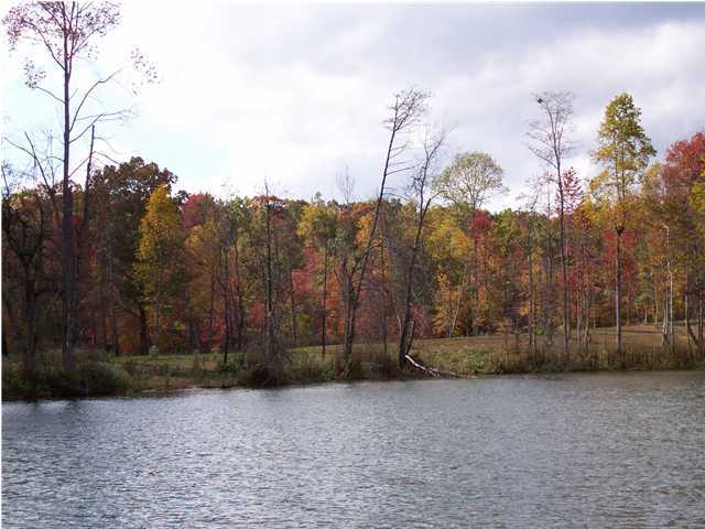 12 Piney Point Road Spring City, TN 37381 - Photo 3 of 4 Additional Photo