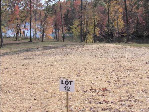 12 Piney Point Road Spring City, TN 37381 - Photo 4 of 4 Additional Photo