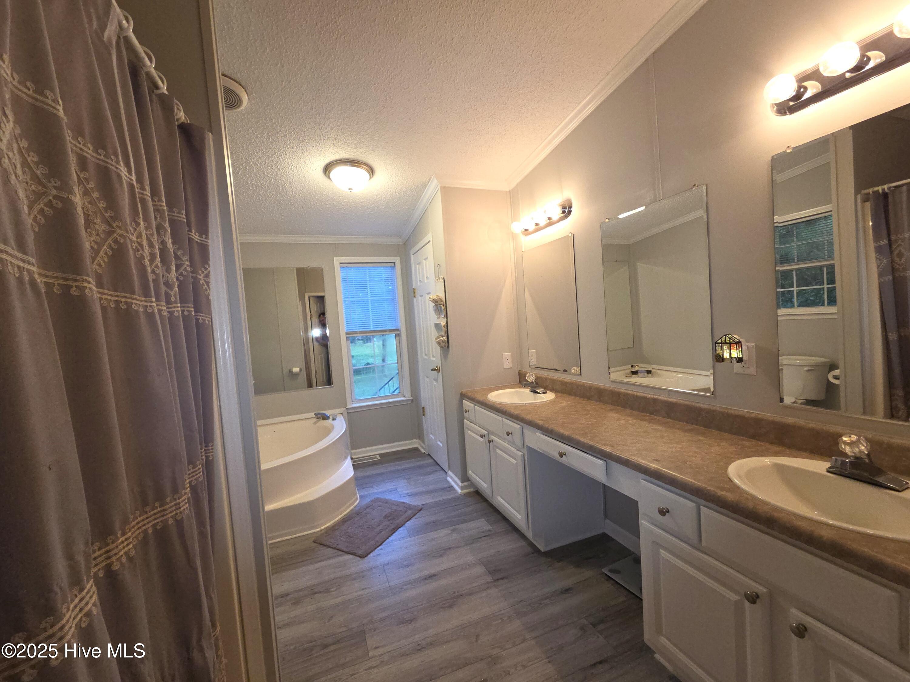 361 Fowler Manning Road Richlands, NC 28574 - Photo 27 of 39 Master Bath