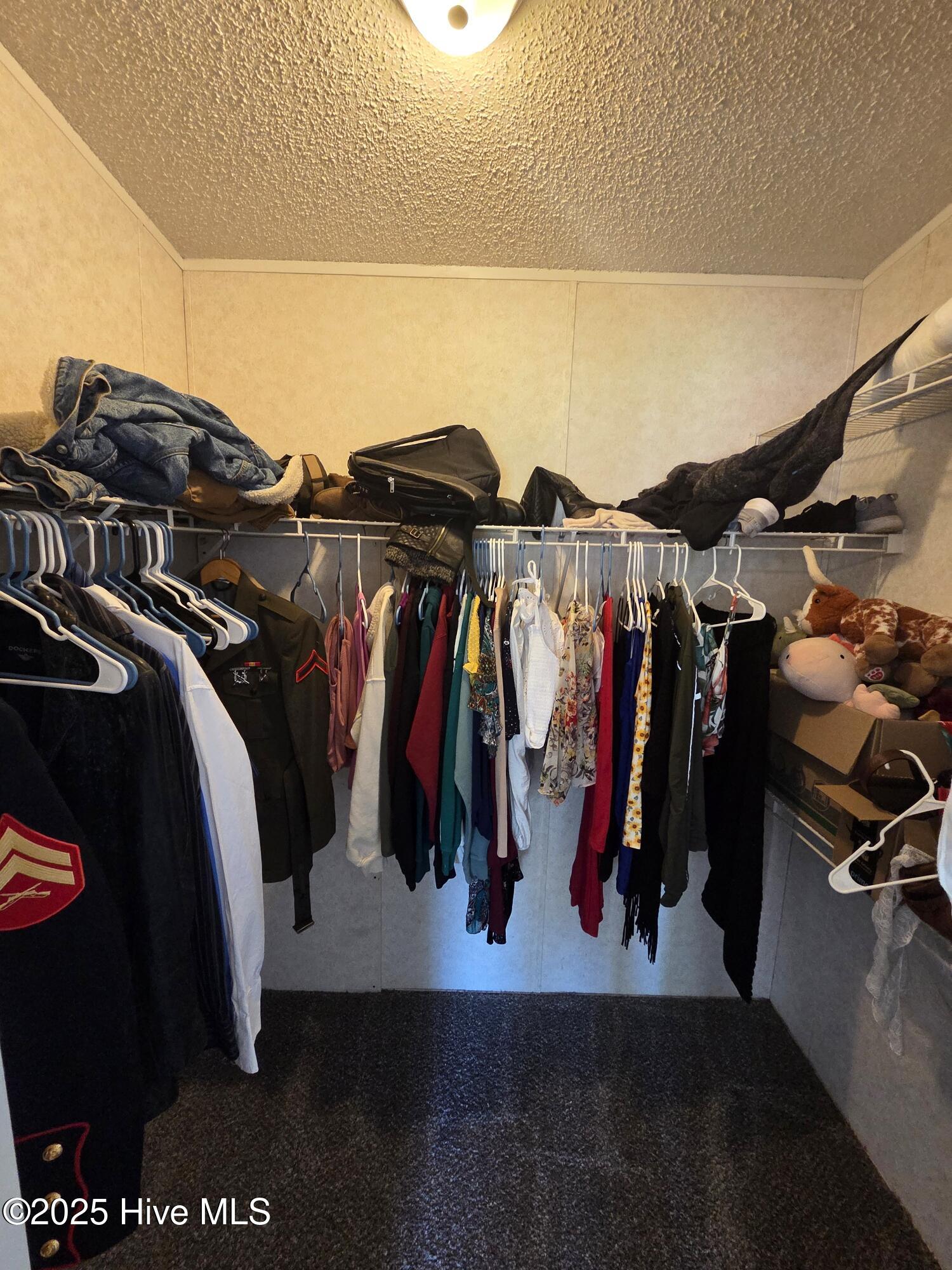 361 Fowler Manning Road Richlands, NC 28574 - Photo 29 of 39 Master Walk-In Closet