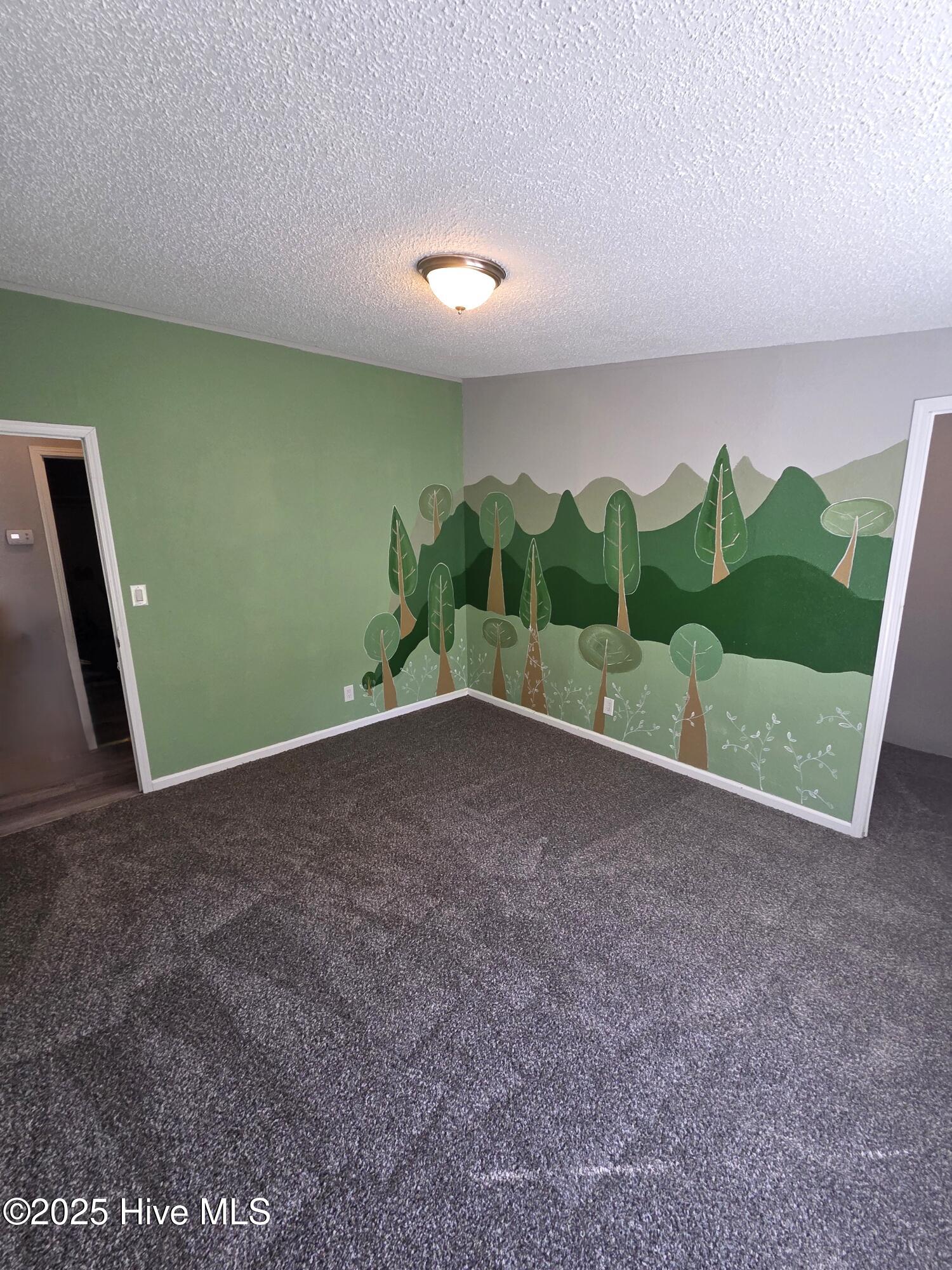 361 Fowler Manning Road Richlands, NC 28574 - Photo 35 of 39 Bedroom 3