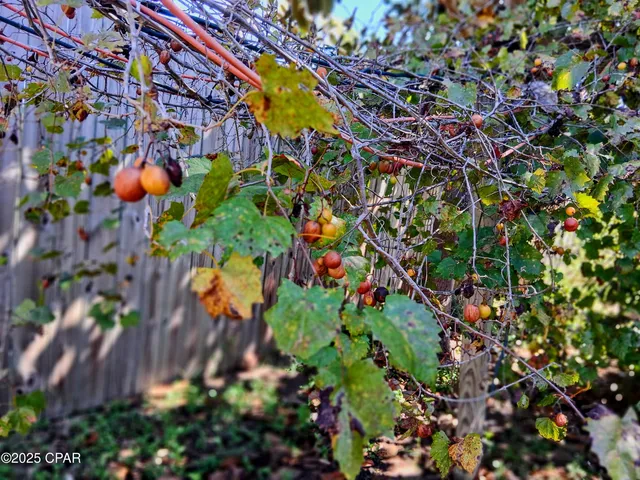 $287,000 | 2056 Sunny Hills Boulevard, Chipley, FL 32428