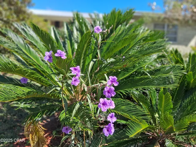 $287,000 | 2056 Sunny Hills Boulevard, Chipley, FL 32428