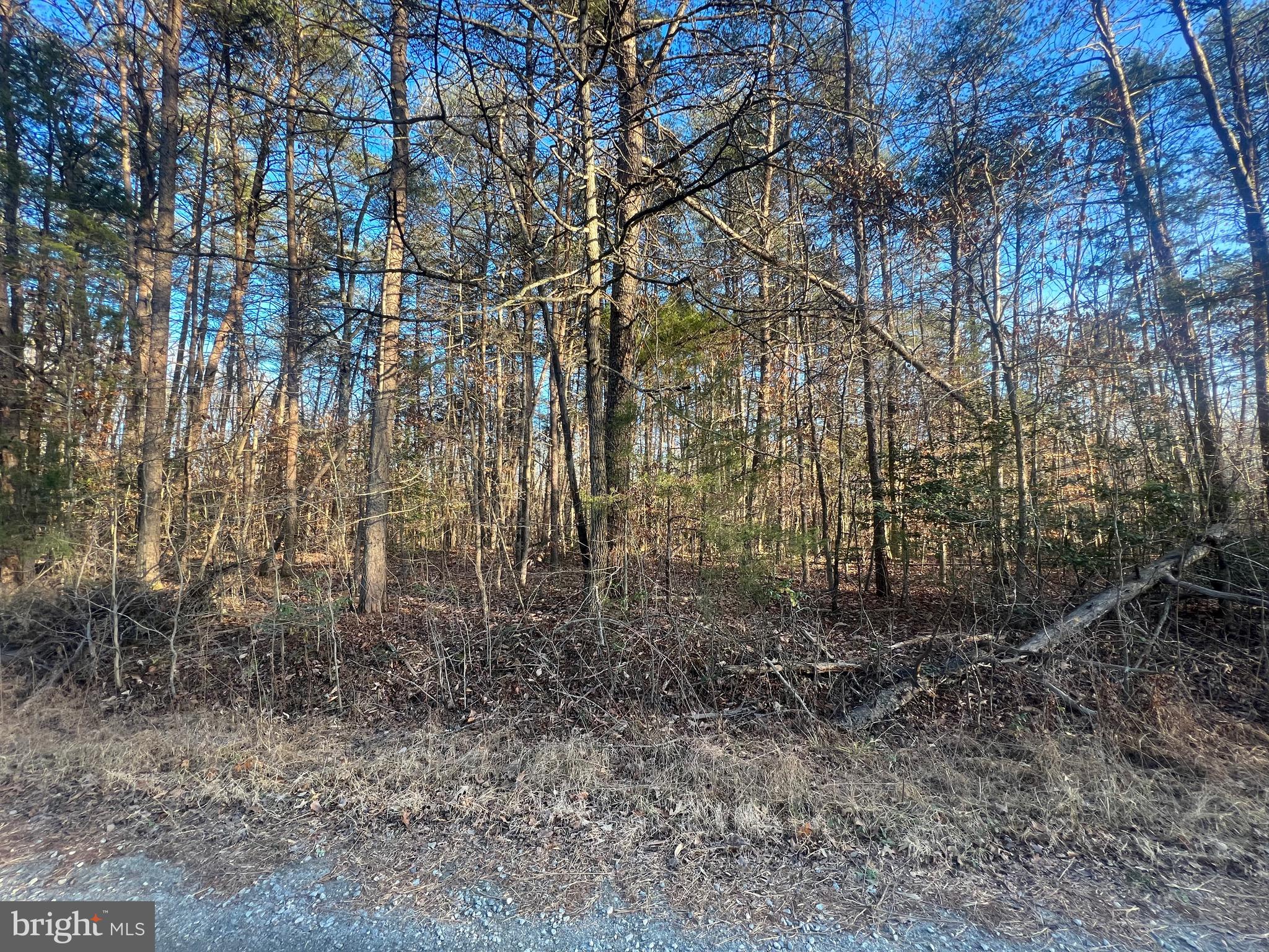 Hawkins Farm Road Bumpass, VA 23024 - Photo 1 of 1 Lot 17