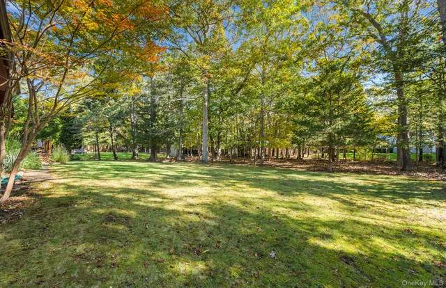 a view of a trees in a yard