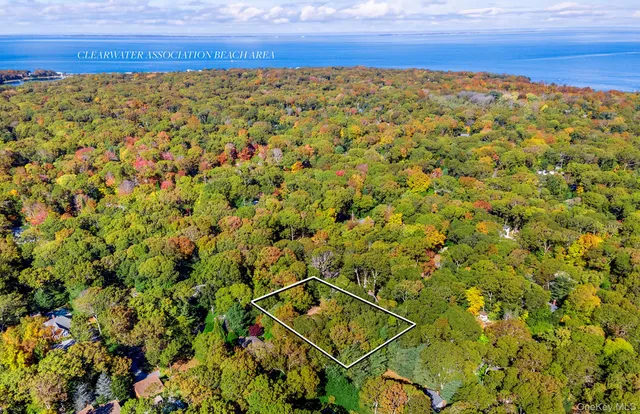 a street sign on a sidewalk next to a road