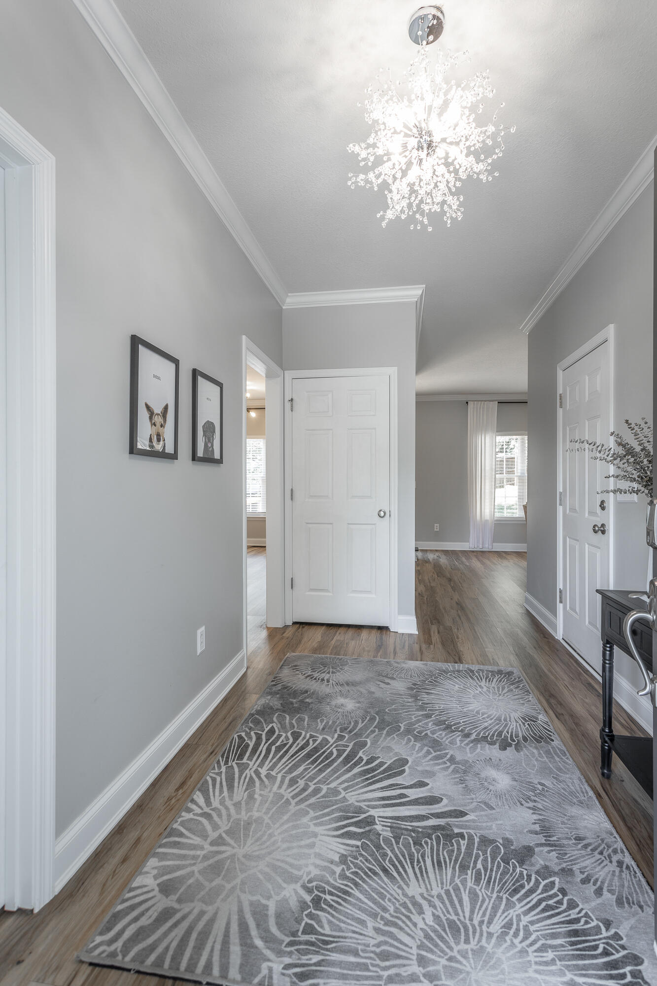 846 Altamont Road Chattanooga, TN 37415 - Photo 4 of 45 846 Altamont Road HD-1