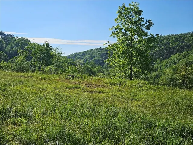 a big yard with lots of green space