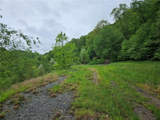 a view of a dry yard with wooden fence