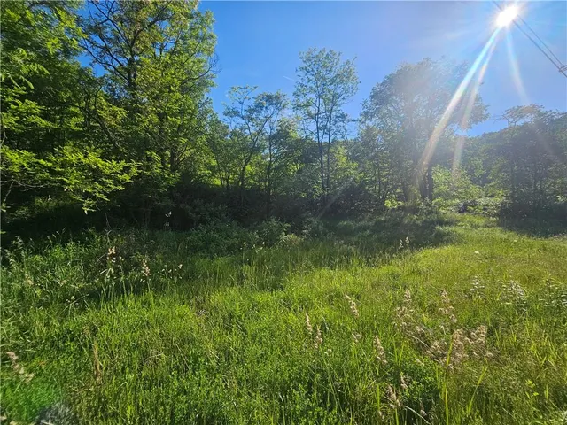 a backyard of a house with lots of green space