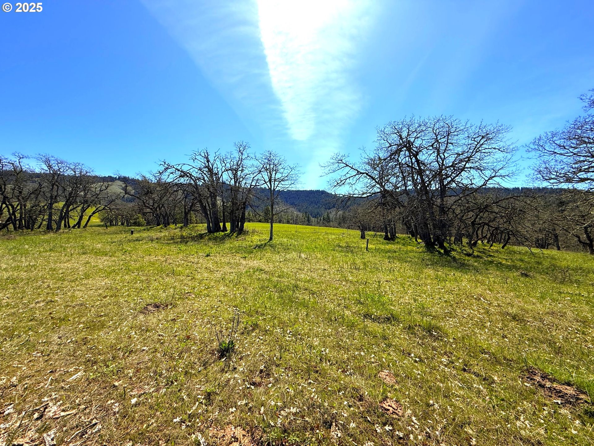 Centerville Highway Lyle, WA 98635 - Photo 11 of 40