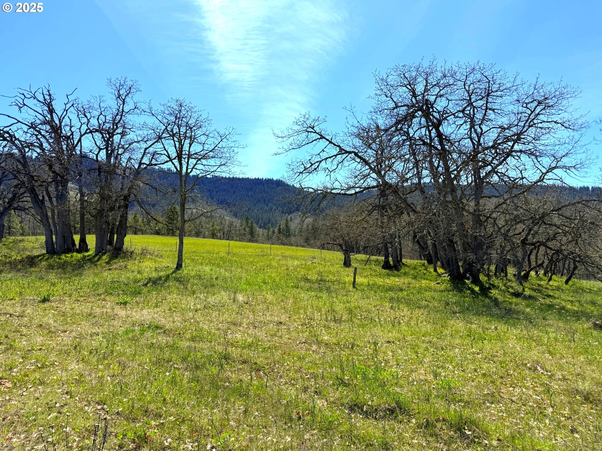 Centerville Highway Lyle, WA 98635 - Photo 12 of 40