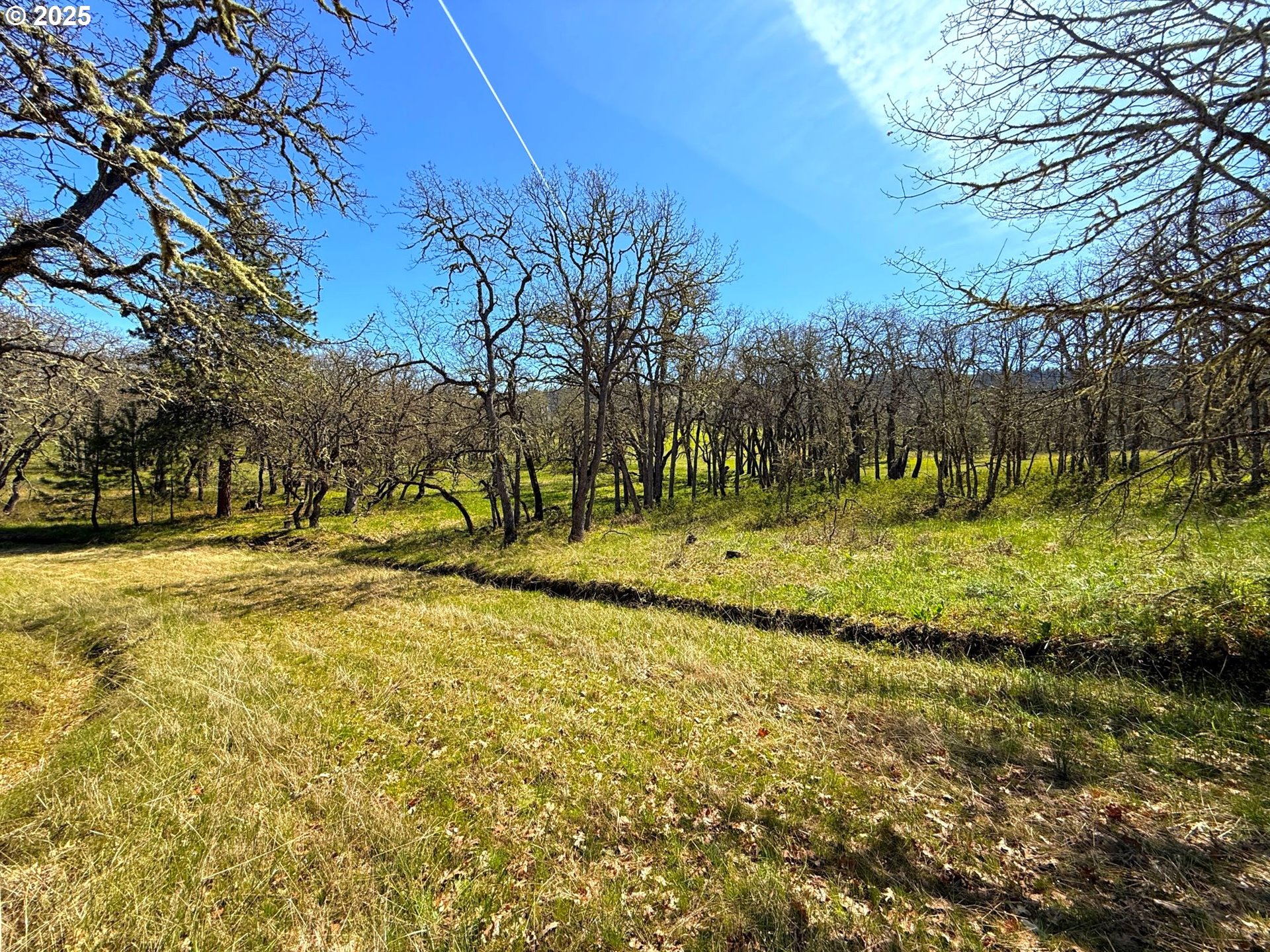 Centerville Highway Lyle, WA 98635 - Photo 14 of 40