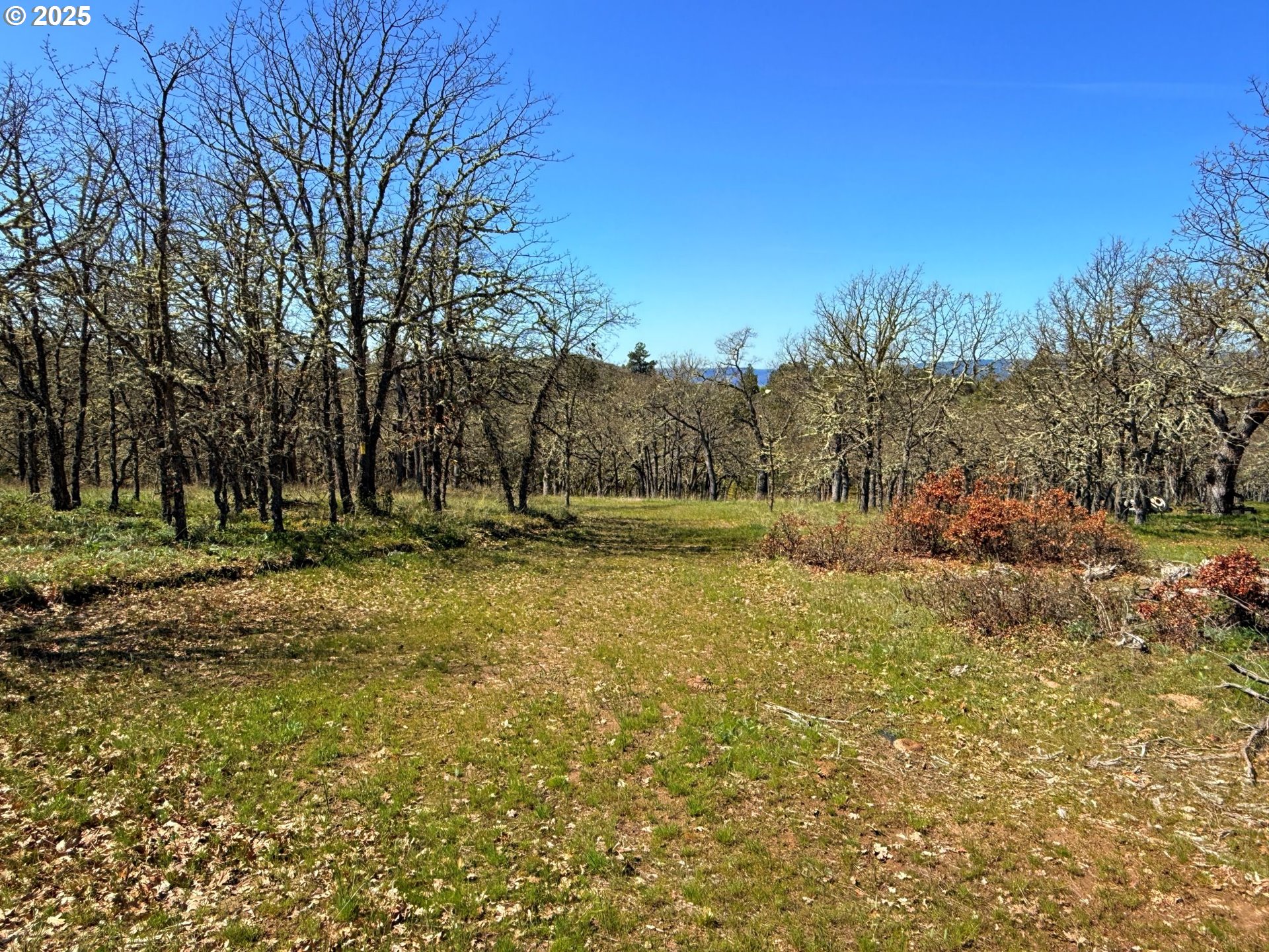 Centerville Highway Lyle, WA 98635 - Photo 16 of 40