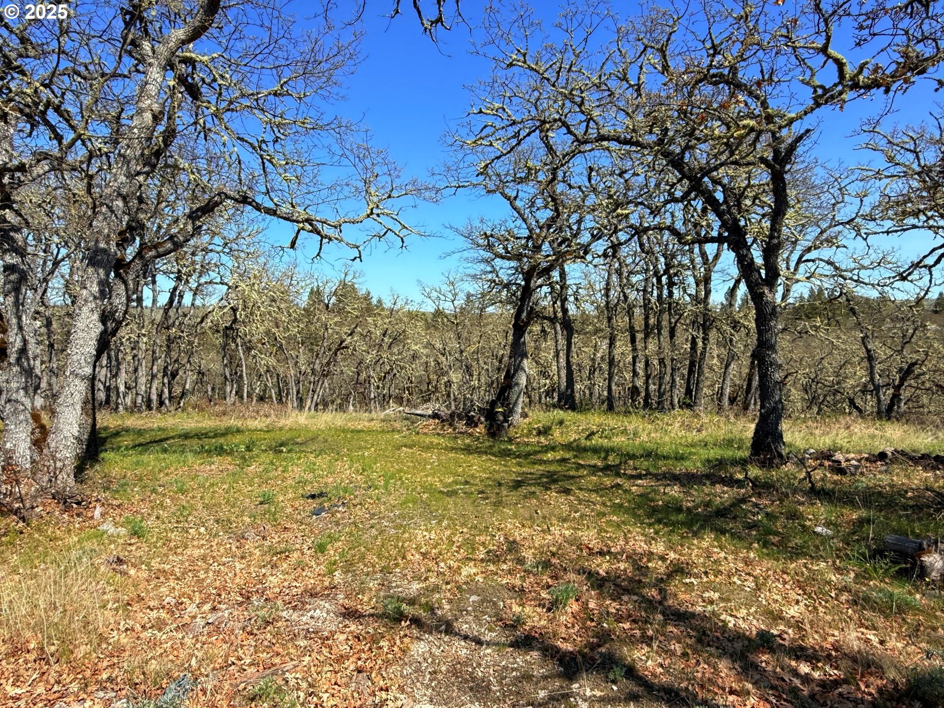 Centerville Highway Lyle, WA 98635 - Photo 17 of 40