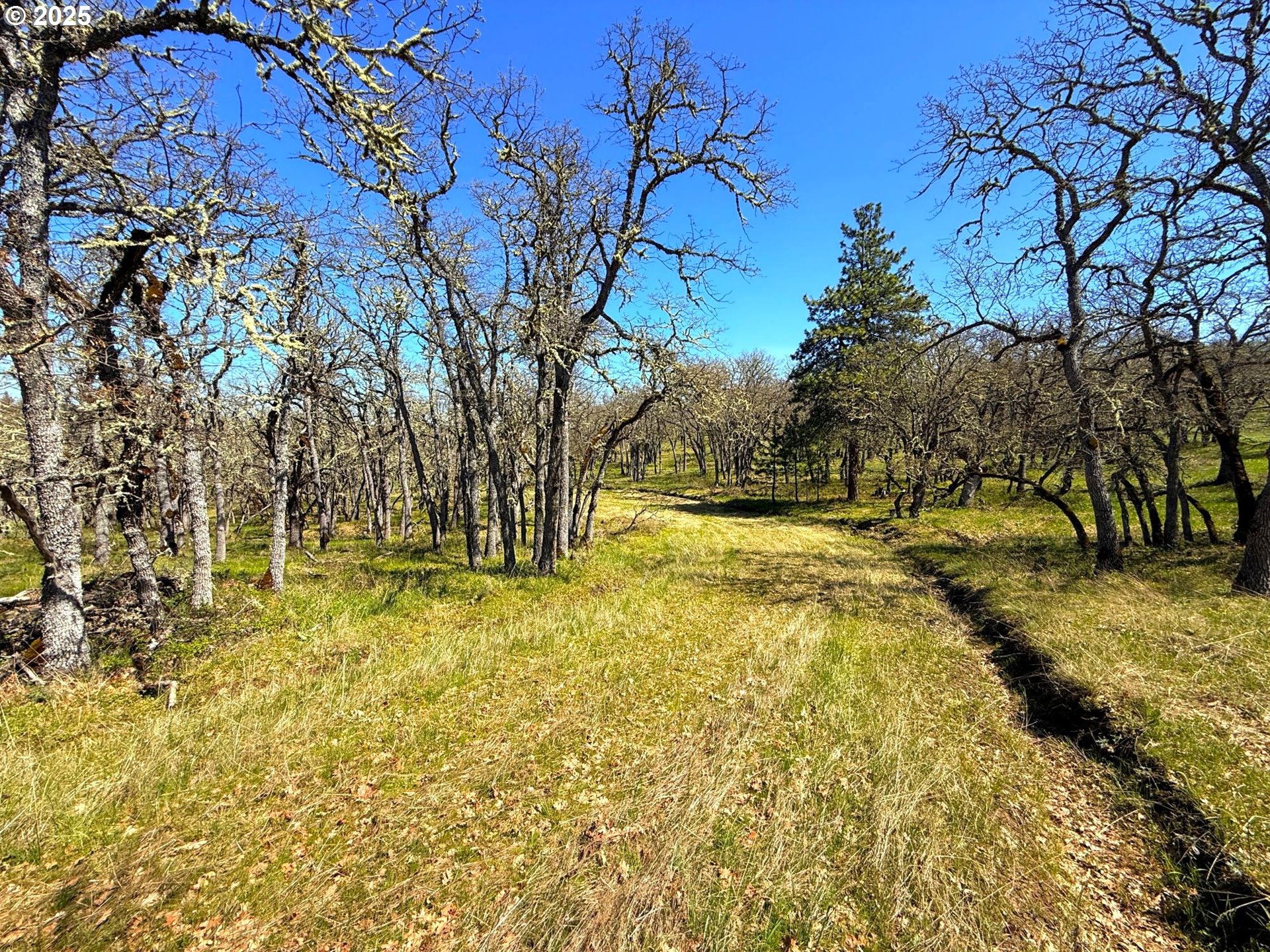 Centerville Highway Lyle, WA 98635 - Photo 23 of 40