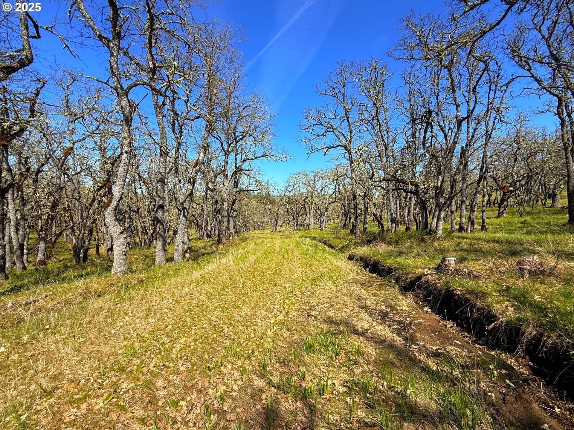 Centerville Highway Lyle, WA 98635 - Photo 24 of 40
