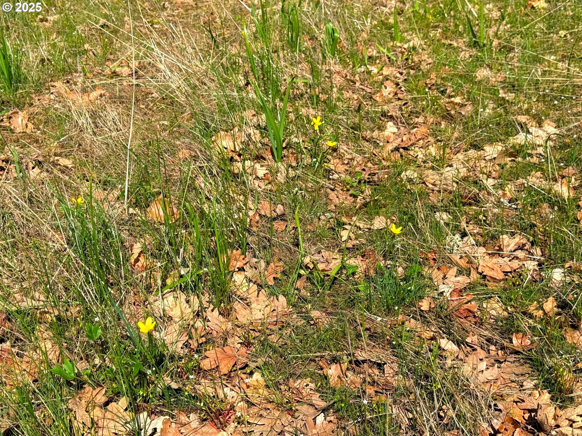 Centerville Highway Lyle, WA 98635 - Photo 25 of 40