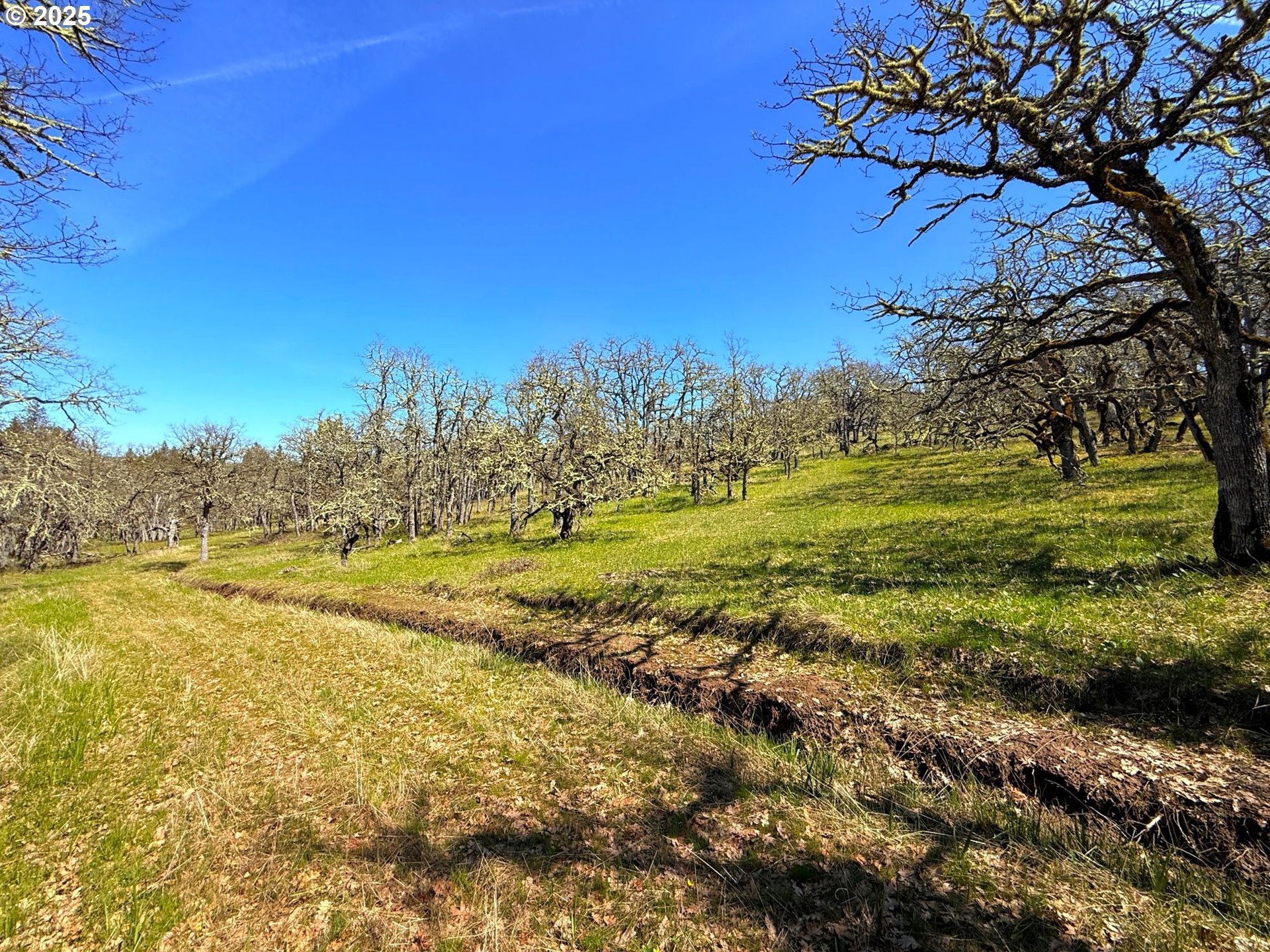 Centerville Highway Lyle, WA 98635 - Photo 26 of 40