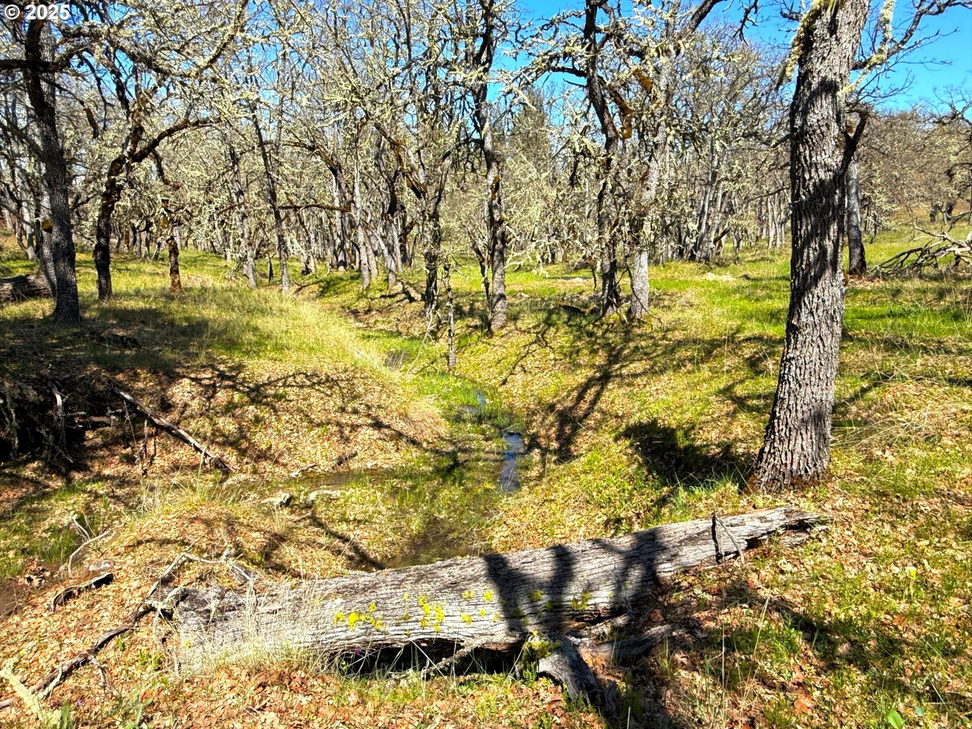Centerville Highway Lyle, WA 98635 - Photo 28 of 40 Creek
