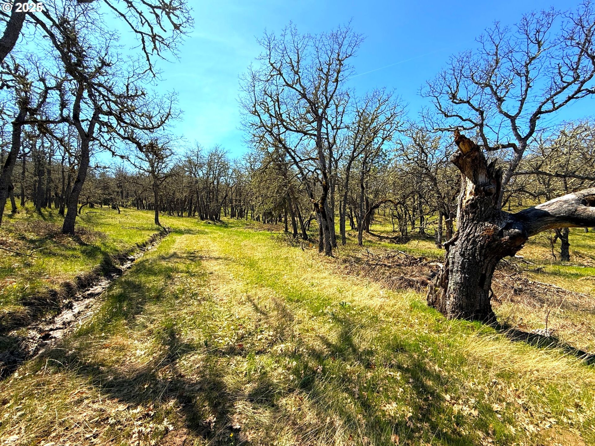 Centerville Highway Lyle, WA 98635 - Photo 29 of 40