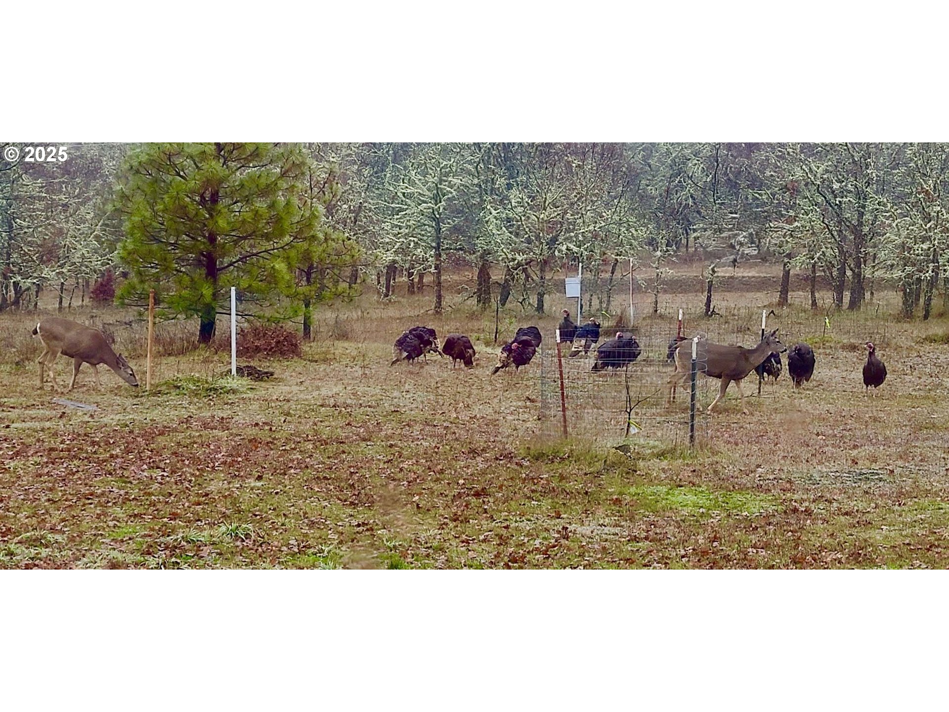 Centerville Highway Lyle, WA 98635 - Photo 30 of 40