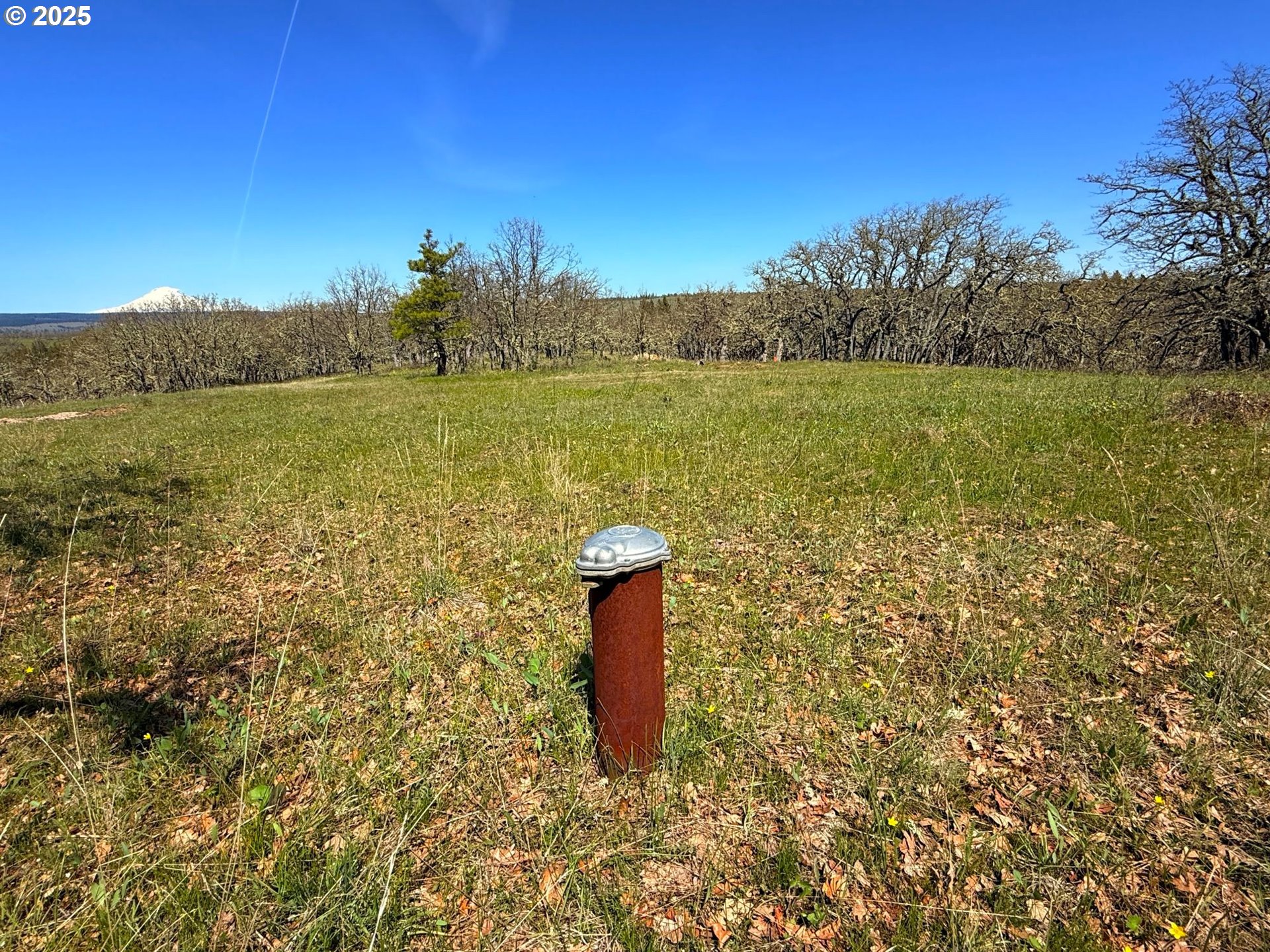 Centerville Highway Lyle, WA 98635 - Photo 3 of 40