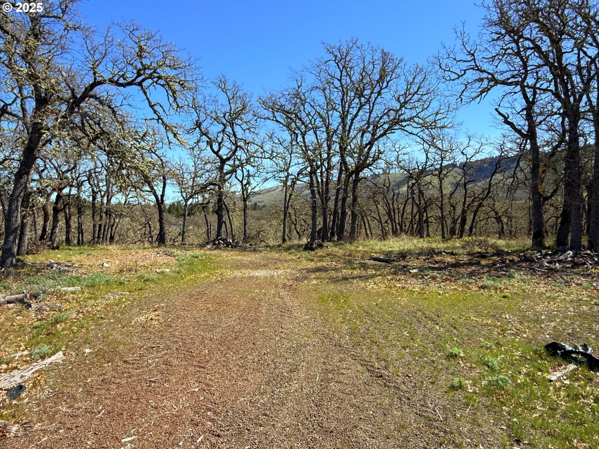 Centerville Highway Lyle, WA 98635 - Photo 32 of 40