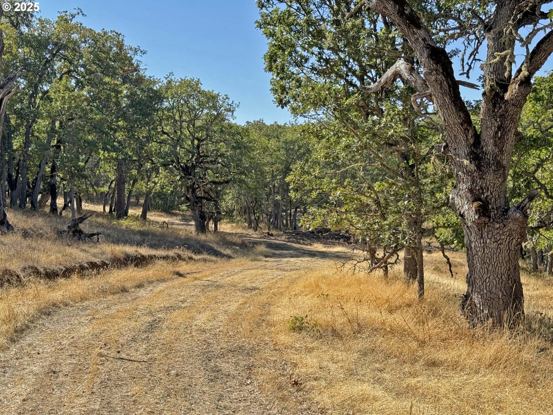 Centerville Highway Lyle, WA 98635 - Photo 37 of 40