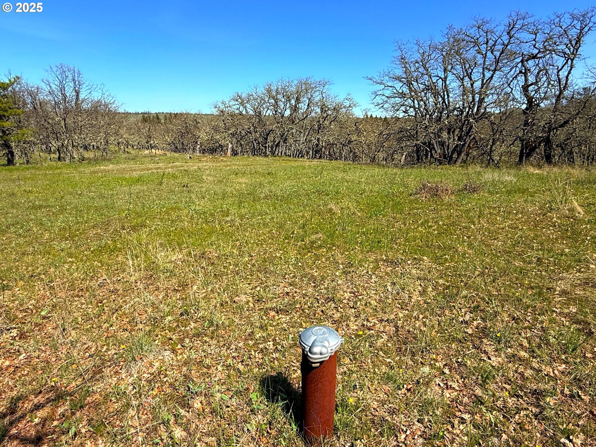 Centerville Highway Lyle, WA 98635 - Photo 4 of 40