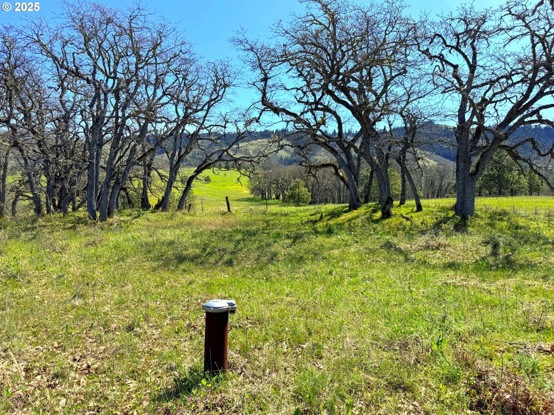 Centerville Highway Lyle, WA 98635 - Photo 5 of 40