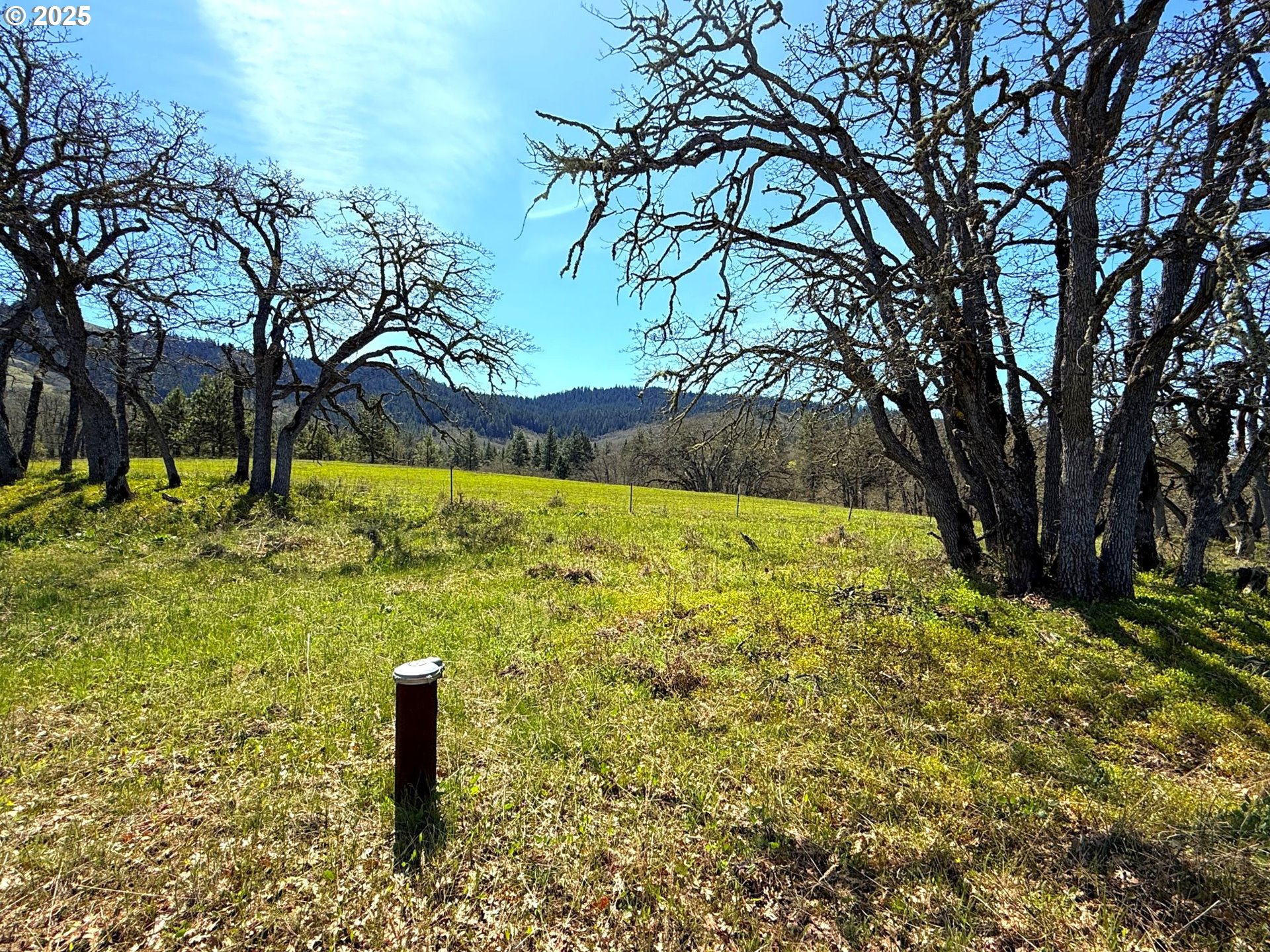 Centerville Highway Lyle, WA 98635 - Photo 6 of 40