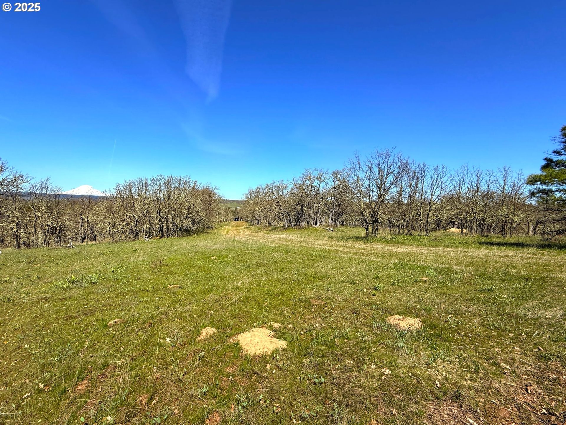 Centerville Highway Lyle, WA 98635 - Photo 7 of 40