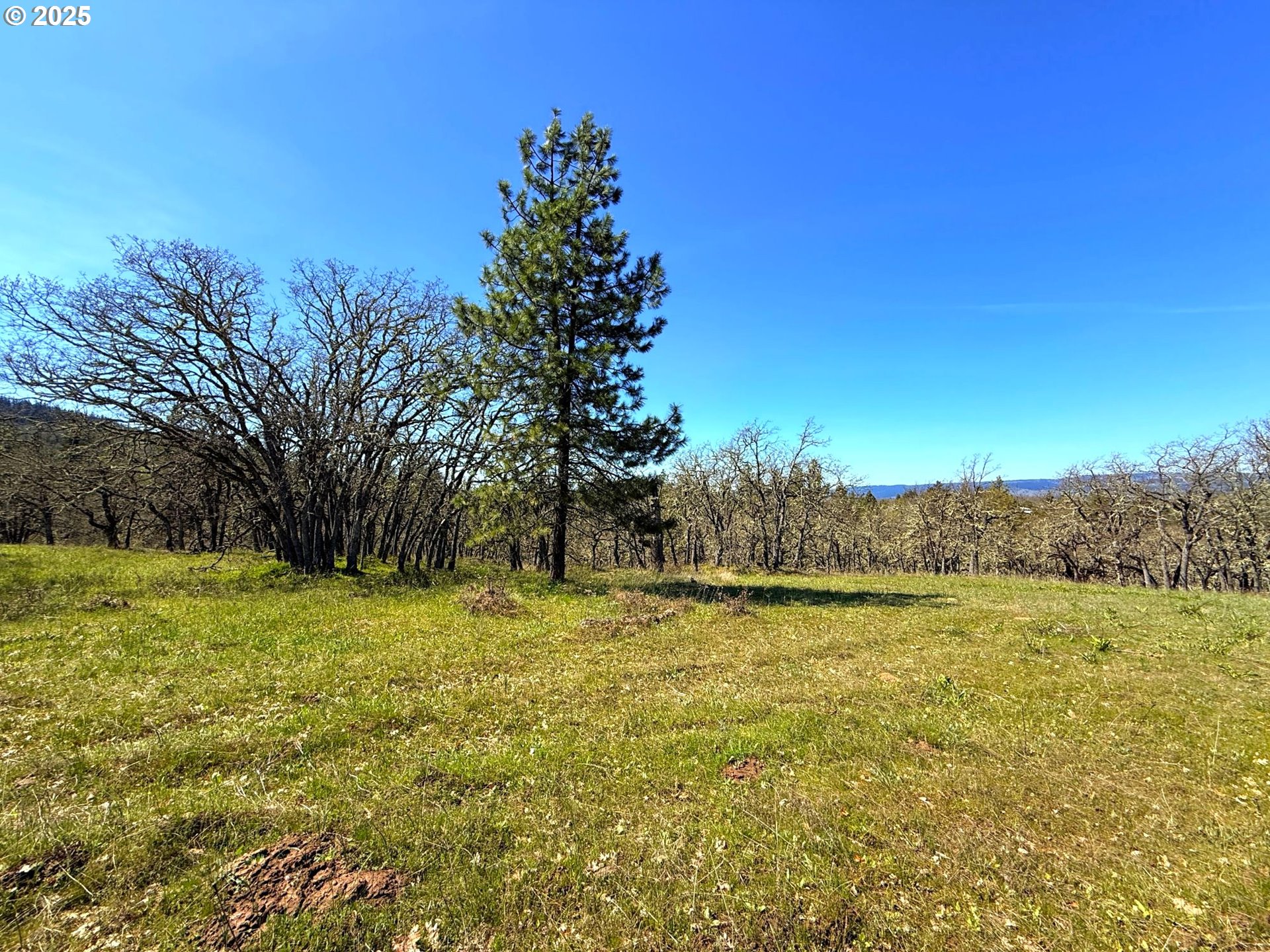 Centerville Highway Lyle, WA 98635 - Photo 9 of 40