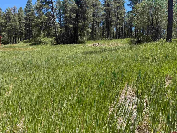 $67,500 | 473 Alpine Forest Drive, Bayfield, CO 81122