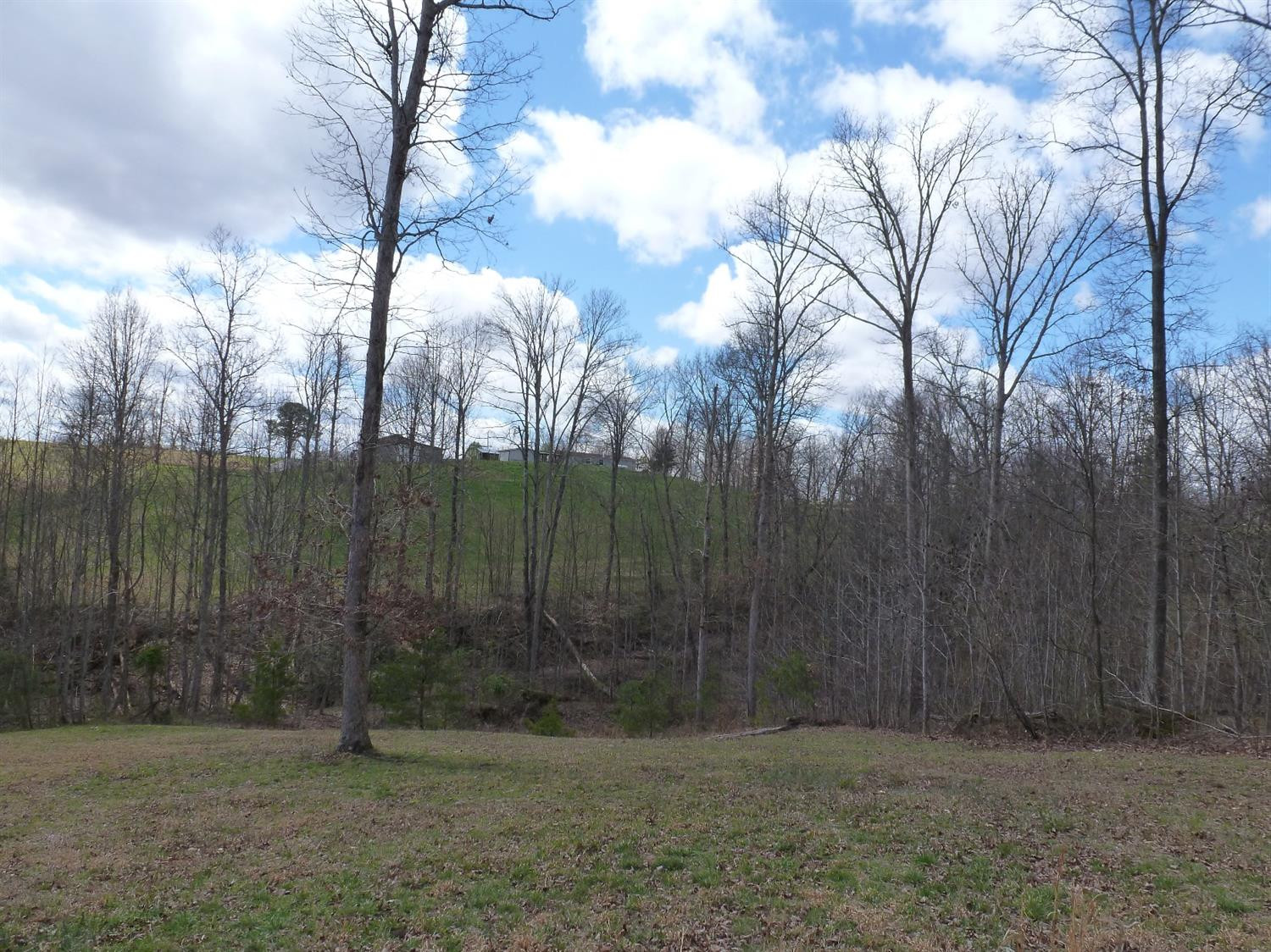 3821 Amos Ridge Road Frenchburg, KY 40322 - Photo 43 of 88 Photo 43