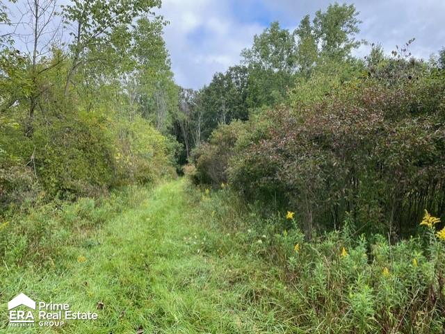 0 Belle River Road Allenton, MI 48002 - Photo 5 of 10