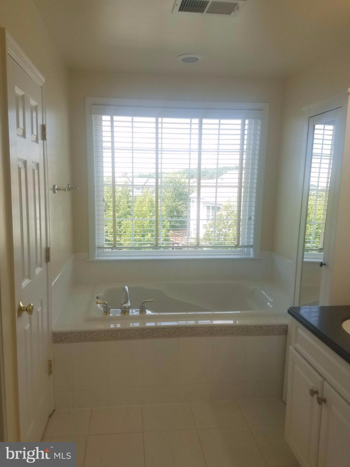 9274 Laurel Ridge Crossing Road Lorton, VA 22079 - Photo 16 of 27 Bath (Master)