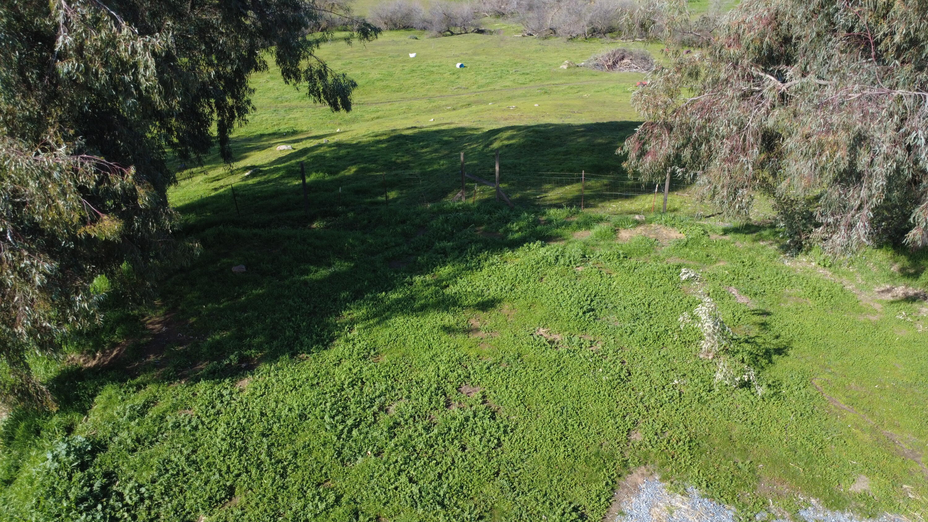 33379 George Smith Road Squaw Valley, CA 93675 - Photo 64 of 66 DJI_0378
