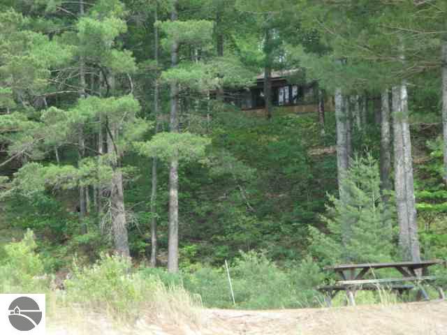 9103 Gedman Road Mancelona, MI 49659 - Photo 6 of 14 1737538-5.JPG