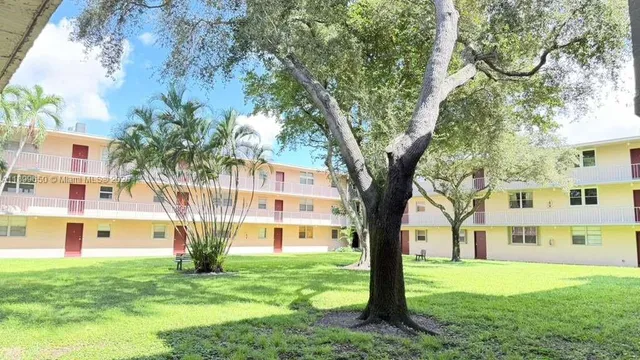 a view of a garden with plants