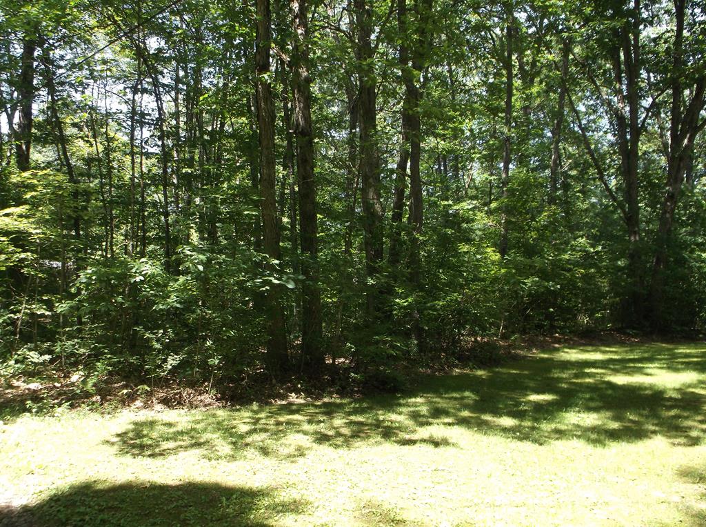 0 Tubbs Lane Leeper, PA 16233 - Photo 1 of 1