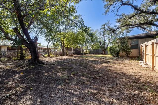 a view of a yard with plants and trees