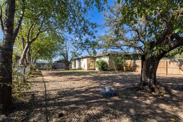 a view of a yard with plants and large trees