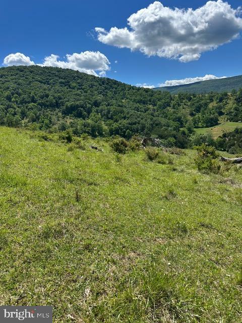 1096 Co Rte 10/2 Franklin, WV 26807 - Photo 3 of 23