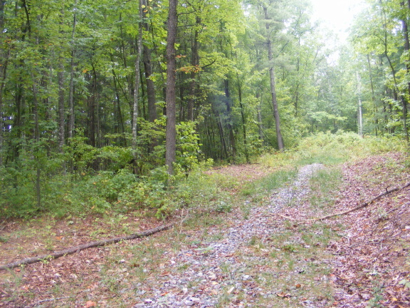 0 Daniels Run Road Northeast Pilot, VA 24138 - Photo 3 of 5 a big yard with lots of green space and deers